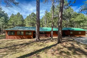 2499 Canyon Dr, Forest Lakes, AZ 85931 - Photo 3