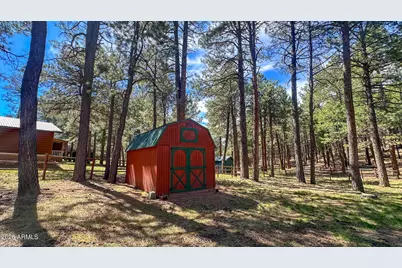 2499 Canyon Drive, Forest Lakes, AZ 85931 - Photo 23