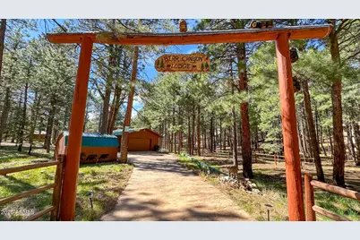 2499 Canyon Drive, Forest Lakes, AZ 85931 - Photo 1