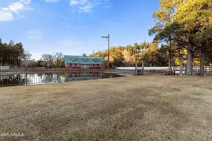 1625 Black Canyon Rd, Heber, AZ 85928 - Photo 79