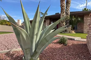 11035 N 32nd St, Phoenix, AZ 85028 - Photo 21