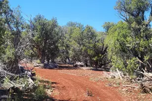 11044 Six Shooter Trl, Williams, AZ 86046 - Photo 21