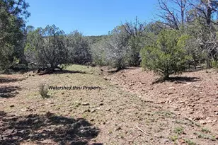 11044 Six Shooter Trl, Williams, AZ 86046 - Photo 19