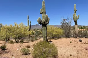 36632 N Never Mind Trl, Carefree, AZ 85377 - Photo 13