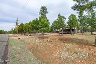 2751 Roundup Ln, Happy Jack, AZ 86024 - Photo 45