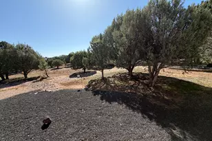 939 Moutain Trail Trail, Show Low, AZ 85901 - Photo 43
