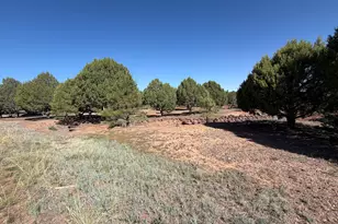939 Moutain Trail Trail, Show Low, AZ 85901 - Photo 49