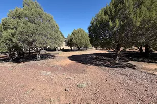 939 Moutain Trail Trail, Show Low, AZ 85901 - Photo 47