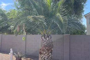 2585 W Cool Water Way, Queen Creek, AZ 85144 - Photo 57
