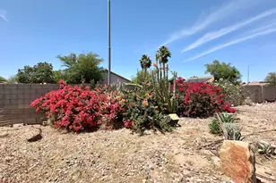 834 S Meridian Rd, Apache Junction, AZ 85120 - Photo 53