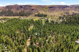8 Co Rd 1006, Greer, AZ 85927 - Photo 27