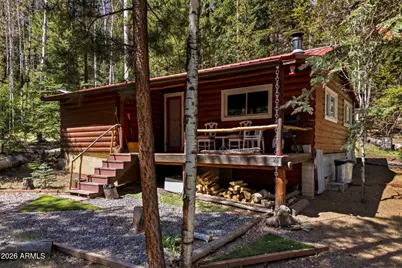 8 County Road 1006 --, Greer, AZ 85927 - Photo 3
