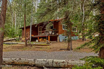 8 County Road 1006 --, Greer, AZ 85927 - Photo 1