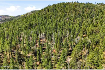 8 County Road 1006 --, Greer, AZ 85927 - Photo 23