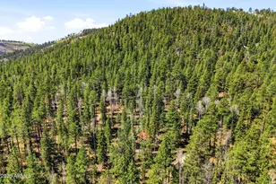8 Co Rd 1006, Greer, AZ 85927 - Photo 23