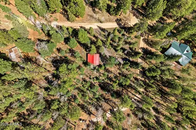 8 County Road 1006 --, Greer, AZ 85927 - Photo 25