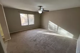 13709 W Cottonwood St, Surprise, AZ 85374 - Photo 15