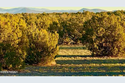 9023 Appaloosa Trl Lot A, 5 Acres -- #-, Show Low, AZ 85901 - Photo 9
