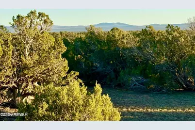 9023 Appaloosa Trl Lot A, 5 Acres -- #-, Show Low, AZ 85901 - Photo 13