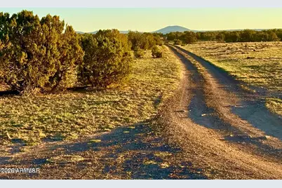9023 Appaloosa Trl Lot A, 5 Acres -- #-, Show Low, AZ 85901 - Photo 5