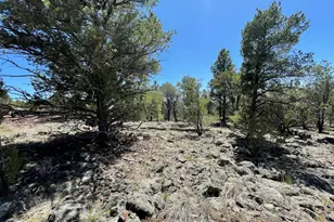 70 E Orchid Dr, Williams, AZ 86046 - Photo 65