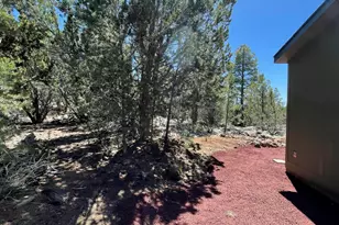 70 E Orchid Dr, Williams, AZ 86046 - Photo 47