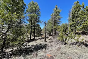 70 E Orchid Dr, Williams, AZ 86046 - Photo 59