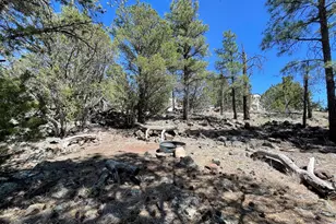 70 E Orchid Dr, Williams, AZ 86046 - Photo 63
