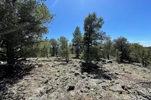 70 E Orchid Dr, Williams, AZ 86046 - Photo 63