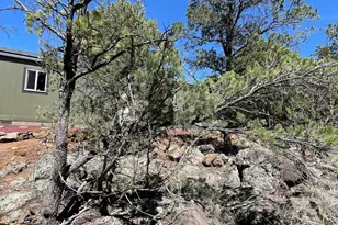 70 E Orchid Dr, Williams, AZ 86046 - Photo 53