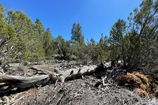 70 E Orchid Dr, Williams, AZ 86046 - Photo 67