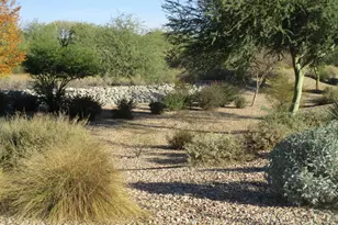 9246 W Molly Ln, Peoria, AZ 85383 - Photo 29