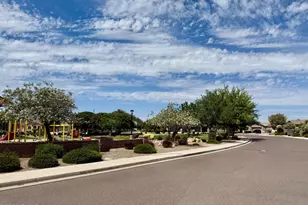 449 E Las Colinas Pl, Chandler, AZ 85249 - Photo 63