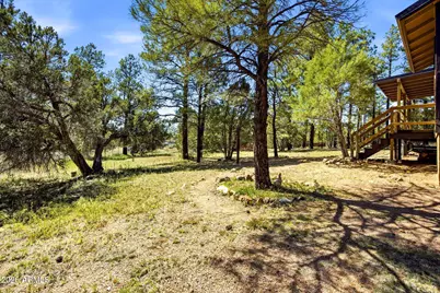 2860 Wildcat Trail, Overgaard, AZ 85933 - Photo 27