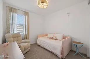 4401 W Josephine St, San Tan Valley, AZ 85144 - Photo 25