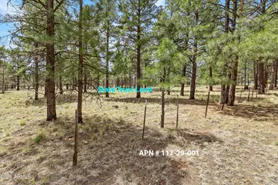 2197 N Running Deer Street #1, Flagstaff, AZ 86004 - Photo 9