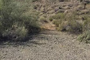 0 N Central Ave, Phoenix, AZ 85085 - Photo 1