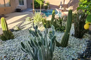 15029 W Bottle Tree Ave, Surprise, AZ 85374 - Photo 25