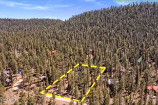 6 County Road 2042 --, Alpine, AZ 85920 - Photo 23