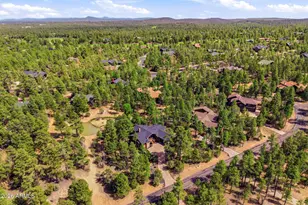 481 S Paintbrush Rd, Show Low, AZ 85901 - Photo 41