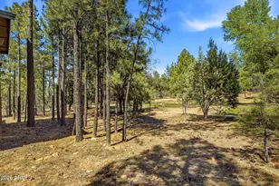 481 S Paintbrush Rd, Show Low, AZ 85901 - Photo 31
