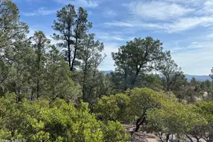 1703 E Redbud Ct, Payson, AZ 85541 - Photo 5