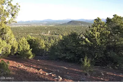 41 County Rd N3127 -- #-, Vernon, AZ 85940 - Photo 15