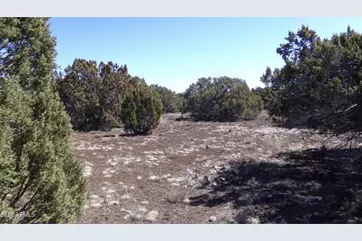 41 County Rd N3127 -- #-, Vernon, AZ 85940 - Photo 13