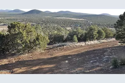 41 County Rd N3127 -- #-, Vernon, AZ 85940 - Photo 7