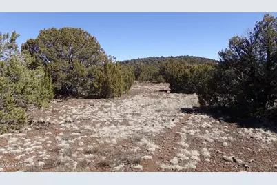 41 County Rd N3127 -- #-, Vernon, AZ 85940 - Photo 9