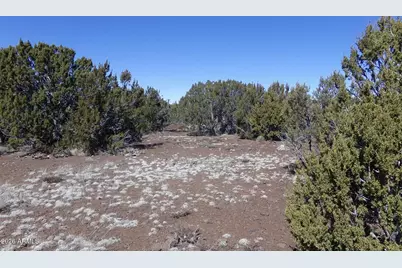41 County Rd N3127 -- #-, Vernon, AZ 85940 - Photo 11