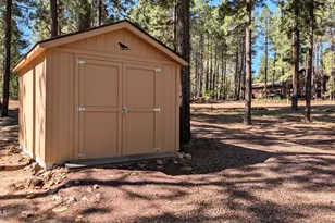 2425 Tall Trees Loop, Forest Lakes, AZ 85931 - Photo 35