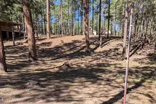 2425 Tall Trees Loop, Forest Lakes, AZ 85931 - Photo 39