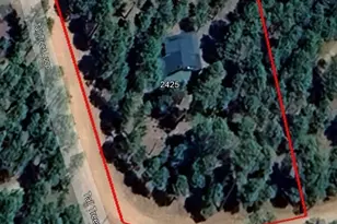 2425 Tall Trees Loop, Forest Lakes, AZ 85931 - Photo 43